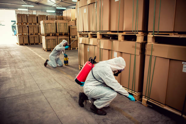 Trusted Keansburg, NJ Pest Control Experts