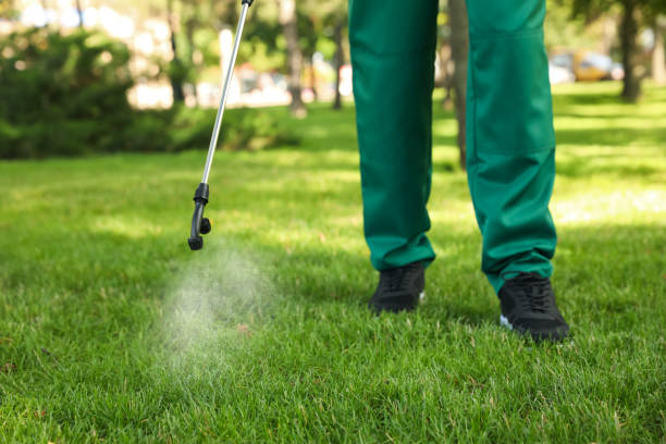 Best Wasp Removal Services  in Keansburg, NJ